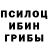 Галлюциногенные грибы Psilocybine cubensis Emil Abdulbadeev