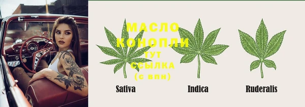 хмурый Елизово
