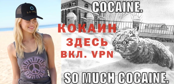 хмурый Елизово